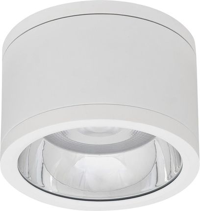 Ledvance Oprawa Natynkowa Led Spot Tuba Surface Ip65 30W Neutralna 4000K