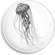 Zdjęcie Magnes Meduza - Tolkmicko