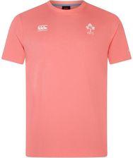 Zdjęcie Bawełniana Koszulka Irlande Team 2023 - Obrzycko