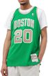 Koszulka do koszykówki Mitchell & Ness NBA Boston Celtics Ray Allen