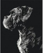 Zdjęcie Brushme Malowanie Po Numerach 40X50Cm Pies - Dolsk