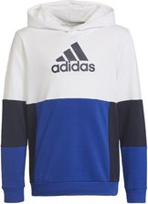 Zdjęcie adidas Bluza Dziecięca Colourblock Białe - Radków