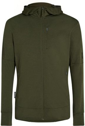 Bluza męska Icebreaker Merino 260 Quantum IV LS Zip Hoodie Loden S