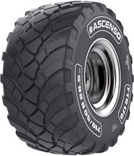 Zdjęcie Ascenso Ftr 170 560/60R22.5 164D - Osieczna