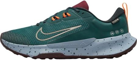 Buty Nike męskie sportowe Juniper Trail 2 Gore-tex FB2067-300 (40)