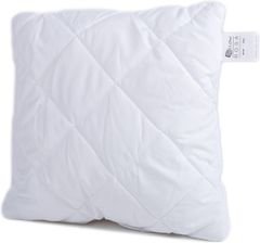 Zdjęcie Rosa Antyalergiczna Poduszka Dla Dziecka 40X40 - Janikowo