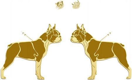 Mejk Jewellery Boston Terrier Kolczyki Złote 925 Kobieta Prezent Sztyfty DEDYKACJA