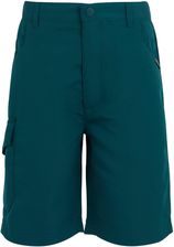 Zdjęcie Regatta Dziecięce Spodnie Trekkingowe Sorcers Ii Niebieskie - Żychlin