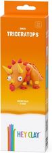 Zdjęcie Tm Toys Hey Clay Triceratops - Kartuzy