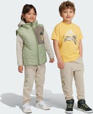 Zdjęcie adidas Spodnie Disney Lion King Beżowe - Kożuchów