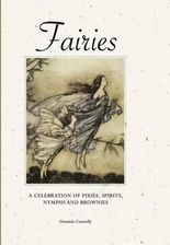 Zdjęcie Fairies Amber Books - Płock