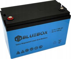 Zdjęcie Bluebox VRLA AGM 12V/100Ah TB-12-100-AE TB12100AE - Pieniężno