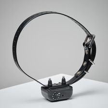 Zdjęcie Dogtra Antyszczekacz Ys 300 - Żywiec