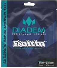 Zdjęcie Diadem Naciąg Tenisowy Evolution 16 1.30 Niebieski - Chełmno