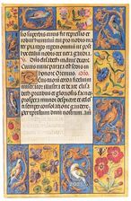 Zdjęcie Kalendarz tygodniowy maxi 2025 Spinola Hours - Sępopol