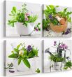 Obrazy Do Kuchni SET Świeże ZIOŁA Przyprawy Rośliny Natura Kwiaty 60x60cm