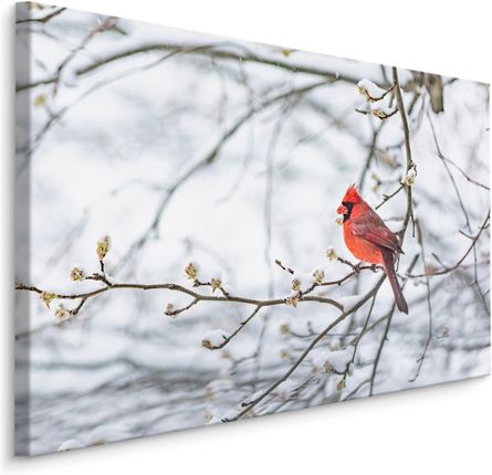 Muralo Obraz Na Płótnie Ptak Natura Rośliny Drzewo Dekoracja Do Salonu 3D 40X30Cm