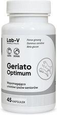 Lab-V Geriato Optimum Wspomaganie Zdrowia Seniorów Dla Psów I Kotów 45 Kapsułek