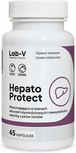 Lab-V Hepato Protect Wspomaganie Funkcji Wątroby Dla Psów I Kotów 45 Kapsułek