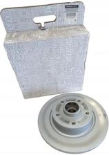 Zdjęcie Renault Tarcza Hamulcowa Tył Scenic 432020984R - Rogoźno