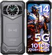 Doogee S200 12/256GB Szary