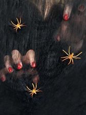 Zdjęcie Czarna pajęczyna z pająkiem - Chorzów