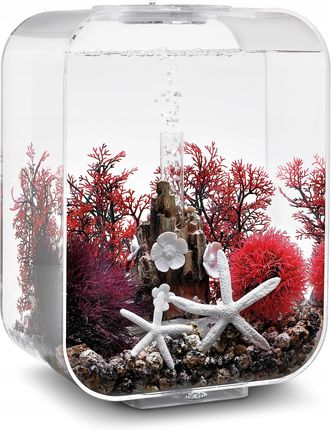 Biorb Gorgonia S Szkarłatna 20 CM 46069 - zdjęcie 2