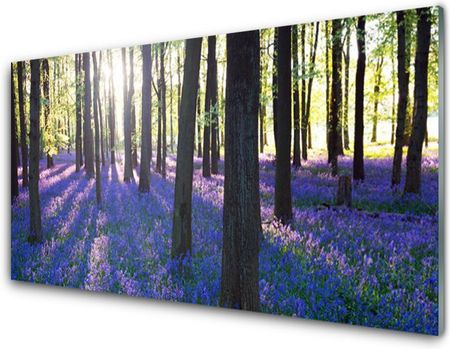 Tulup.Pl Obraz Akrylowy Las Drzewa Natura 125x50 cm 2 zawieszki (PLOAHNN241268659)