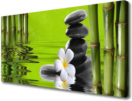 Tulup.Pl Obraz na Płótnie Bambus Kamienie Roślina 100x50 cm (OCHNN39853528)