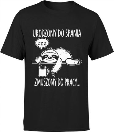 Śmieszna Koszulka Męska Leniwiec Z Nadrukiem Napisami Nadruk Śmiesznymi R L