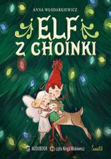 Zdjęcie Elf z choinki - Łódź