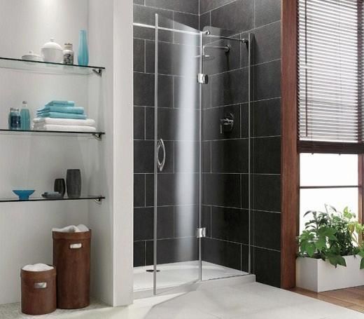 Drzwi Prysznicowe Coram Showers Do Wnęki Premier Frameless 800 Mm