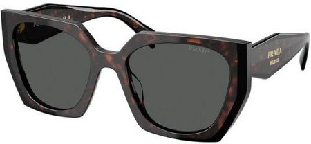 PRADAサングラス SPR14G72◻︎16771-3M11102N PRADA ブラウン ケース付き SPR14G72◻︎16771-3M11102N - メルカリ