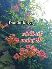 Zdjęcie Wielkość małej m Dominik Ryś - Tykocin
