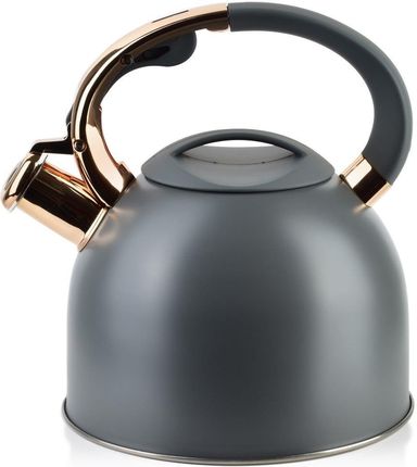 Czajnik 2,5L STEN GOLD szary