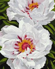 Zdjęcie Ideyka Malowanie Po Numerach Białe Piwonie 40X50Cm - Niepołomice