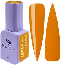 Dnka Color Gel Polish Lakier Hybrydowy #0067 12Ml