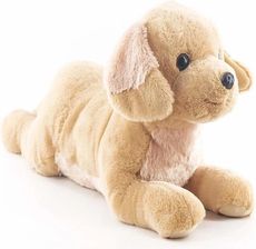 Zdjęcie Madej Maskotka Pies Labrador 60Cm Leżący - Nowy Wiśnicz