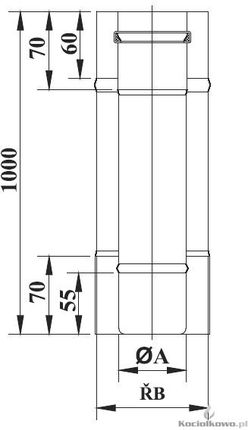 Termet Rura koncentryczna L = 1000 mm, fi 60/100 T9000001900