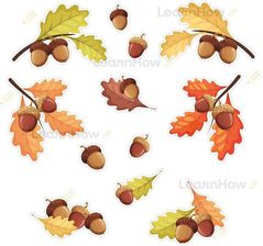 Zdjęcie Dekoracje jesienne Żołędzie 12el - Mrozy