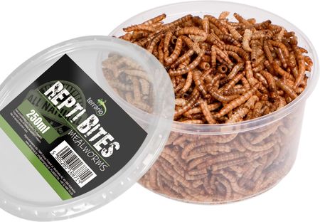 Terrario Repti Bites Mealworms 250ml larwy mącznika suszone - zdjęcie 3