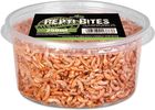 Terrario Repti Bites Gammarus 250ml - kiełż zdrojowy suszony