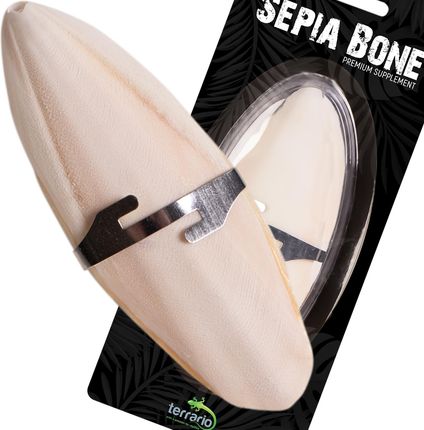 Terrario Sepia Bone sepia w całości z uchwytem - zdjęcie 2