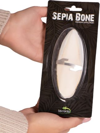 Terrario Sepia Bone sepia w całości z uchwytem - zdjęcie 3