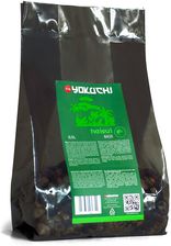 YOKUCHI HAISUI BASE 0,5L podłoże drenażowe do terrarium