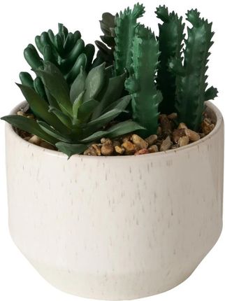 Boltze Sztuczna Roślinka Succulent 12Cm