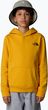 Bluza dziecięca The North Face Teen Redbox Regular P/O summit gold Zima 2024