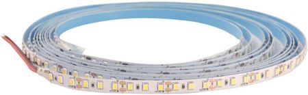 Greenlux Led Taśma Daisy 5M Ciepła Biel