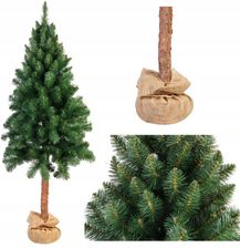 Zdjęcie Goliat Choinka Kris Na Pniu Naturalnym 160cm (CHKRIS160) - Trzcianka