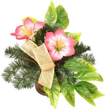 Zdjęcie Goliat Stroik Nagrobny W Gazonie Kolorze Różowym - Trzcianka